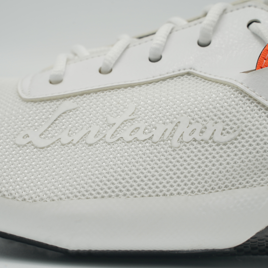 10月発送予定【Lintaman】 lace(レース)